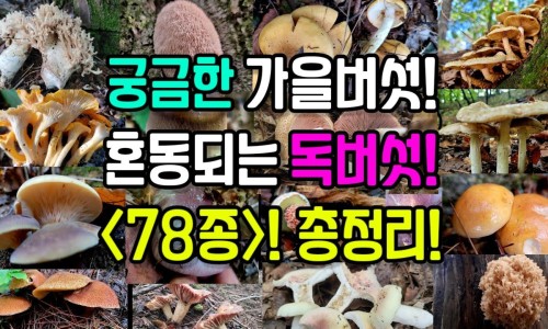 肝性脑病的药-【脑性肝病吃什么药】肝性脑病吃什么保肝药 - 什么脑清肝性脑病用药网