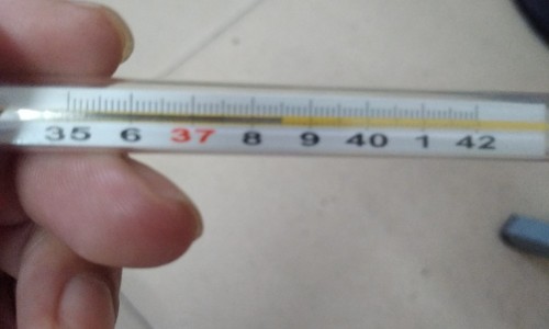 什么药物治疗肝性脑病-【脑性肝病吃什么药】肝性脑病吃什么保肝药 - 什么脑清肝性脑病用药网